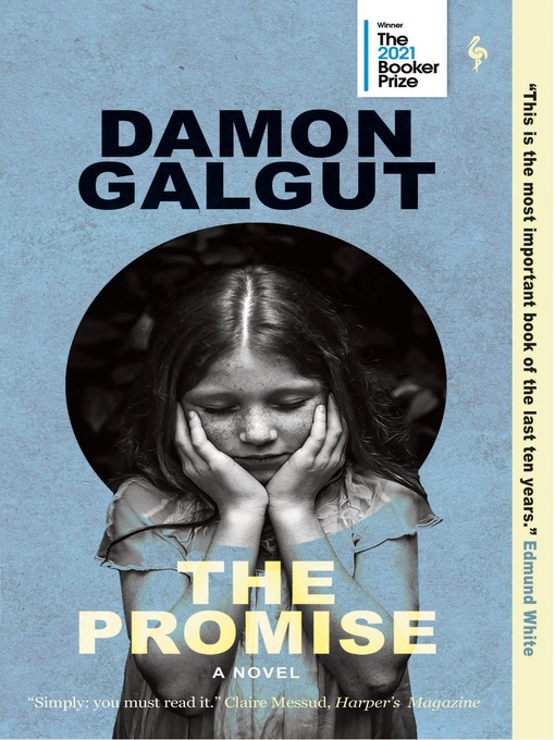 Title details for The Promise by Damon Galgut - Wait list